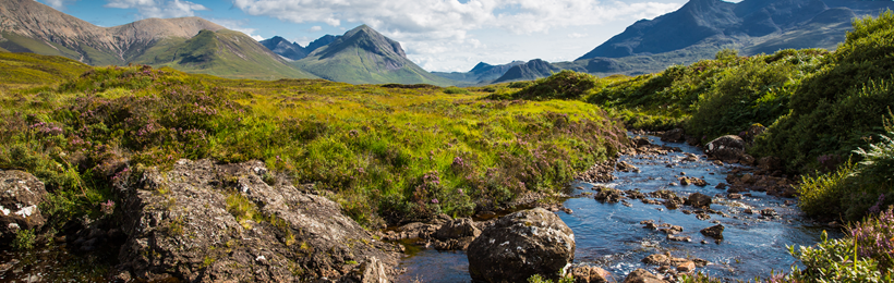 Scottish Countryside